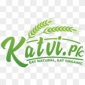 Katvi Store - Graphic Design, HD Png Download - sprite can png
