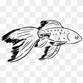 Japon Balığı Balık Çizimi, HD Png Download - fish vector png