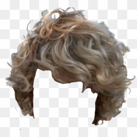 Curly Hair Boy Png, Transparent Png - blond hair png
