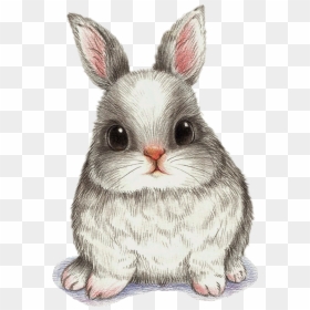 Drawing Watercolor Painting Art Image - Cute Animal Rabbit Drawing, HD Png Download - cute bunny png
