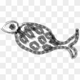 Fish Vector Clipart Black & White - Illustration, HD Png Download - fish vector png