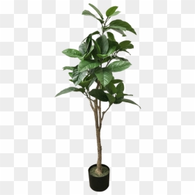 Tropical Tree - Artificial Plant - Piante Finte Da Interno Alte, HD Png Download - tropical tree png