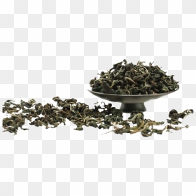 Nilgiri Oolong Tea Leaf Png Hd Image - Scrap, Transparent Png - tobacco leaf png