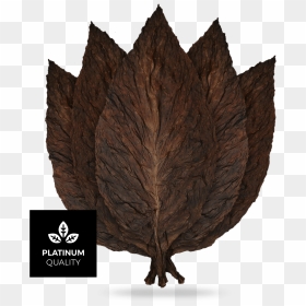 Chewing Tobacco Leaves, HD Png Download - tobacco leaf png