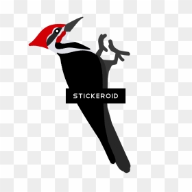 Pileated Woodpecker , Png Download - Woodpecker Logo Png Download, Transparent Png - woody woodpecker png