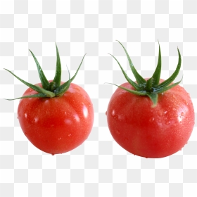 Red Tomatoes Tomato Alpha Png- - Tomate Cherry, Transparent Png - tomatoe png