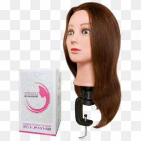 Morado Practice Mannequin Heads - Lace Wig, HD Png Download - mannequin head png