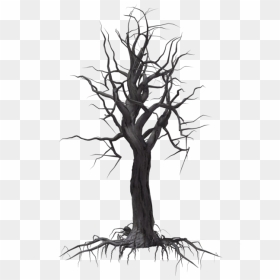 Creepy Tree 04 By Wolverine041269 On Clipart Library - Trees, HD Png Download - creepy tree png