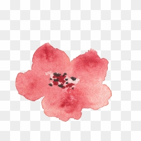 Of A Friends Wedding In The Summer Of - Artificial Flower, HD Png Download - summer border png