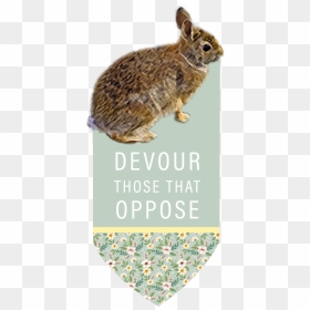 Pest, HD Png Download - sasha pieterse png
