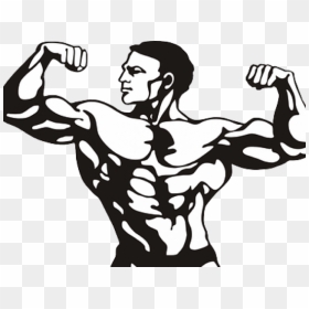 Curl Clipart Bicep - Bodybuilder Clipart Png, Transparent Png - bicep png
