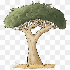 Transparent Spooky Tree Clipart - Dragon Blood Tree Drawing, HD Png Download - creepy tree png
