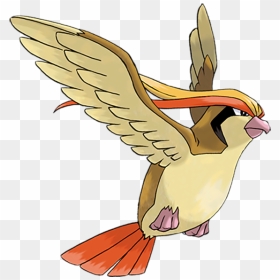 Pidgeot Pok Mon Overdose - Pidgeot Pokemon, HD Png Download - woody woodpecker png