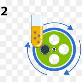 Stem Cell Steps 2 - Circle, HD Png Download - hell in a cell png