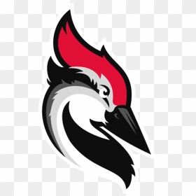 Woodpecker Cold Email, HD Png Download - woody woodpecker png