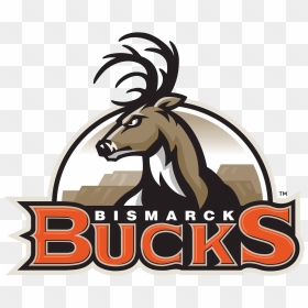 The Bucks Indoor Football Team - Bismarck Bucks Logo, HD Png Download - young bucks png