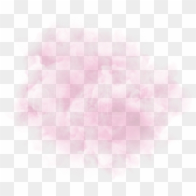Image - Cosmetics, HD Png Download - sasha pieterse png
