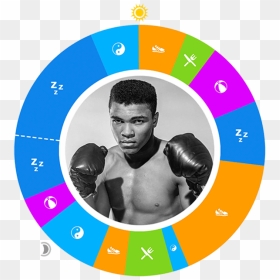 Day In The Life - Muhammed Ali Training Routine, HD Png Download - muhammad ali png