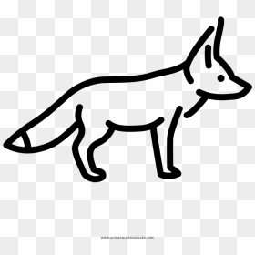 Fennec Fox Fall Coloring Page, Printable Fennec Fox - Draw A Fox Easy, HD Png Download - fennec fox png