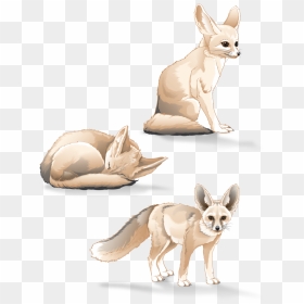 Fennec Fox Study - Fennec Fox, HD Png Download - fennec fox png