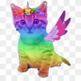 Transparent Cute Kitten Png - Cute Cats With Wings, Png Download - cute kitten png