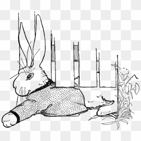 Peter Rabbit Albert 19 - Domestic Rabbit, HD Png Download - peter rabbit png