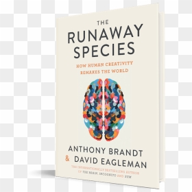 David Eagleman The Runaway Species, HD Png Download - creative brain png
