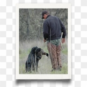 German Shepherd Dog, HD Png Download - duck hunt dog png