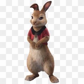 Transparent Peter Rabbit Png - Peter Rabbit Characters Movie, Png Download - peter rabbit png