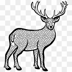 White Tailed Red Clip Art Transprent Png - Deer Images Clip Art Black And White, Transparent Png - whitetail deer png