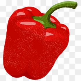 Red Pepper - Red Bell Pepper, HD Png Download - red pepper png