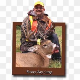 Trophy Hunting, HD Png Download - whitetail deer png