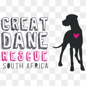 Book Tickets For Great Dane Rescue South Africa Picnic - Amazon Surf, HD Png Download - great dane png