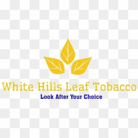 White Hills Leaf Tobacco - Graphics, HD Png Download - tobacco leaf png