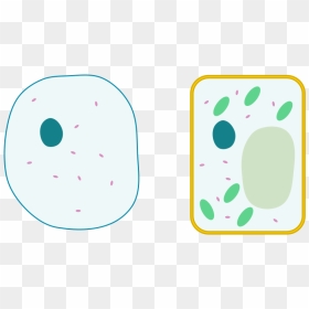 Simple Animal Cell No Labels , Png Download - Simple Cell Labels, Transparent Png - hell in a cell png