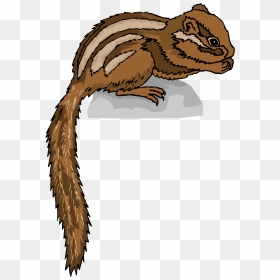 Transparent Background Chipmunk Clipart Chipmunk Png - Chipmunk Clipart, Png Download - chipmunk png