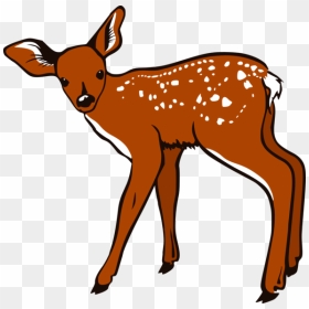 Deer Clip Art - White Tailed Deer Clipart, HD Png Download - whitetail deer png