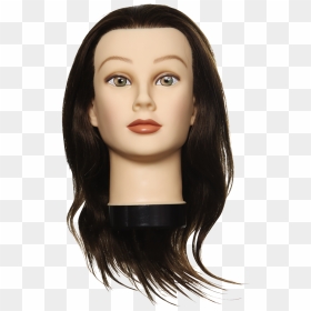 Salon Mannequin Head With Hair, HD Png Download - mannequin head png