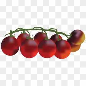 Cherry Tomatoes Clipart , Png Download - Cherry Tomatoes, Transparent Png - tomatoe png