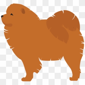 Pomeranian Finnish Spitz Dog Breed Komondor Puppy - Pomeranian, HD Png Download - pomeranian png
