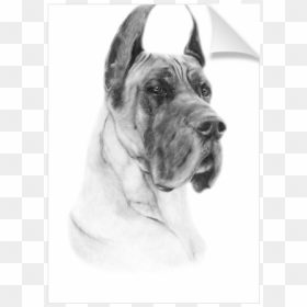 Giant Dog Breed, HD Png Download - great dane png