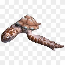 The Runescape Wiki - Hawksbill Sea Turtle, HD Png Download - turtles png
