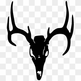 Drawn Buck Whitetail Deer - Transparent Deer Skull Png, Png Download - whitetail deer png