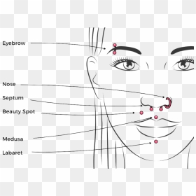 Facial Piercing Chart - Septum Medusa Smiley Piercing, HD Png Download - eyebrow piercing png