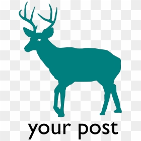 White-tailed Deer Silhouette Clip Art - Transparent Deer Silhouette, HD Png Download - whitetail deer png
