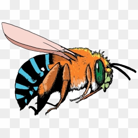 Blue And Orange Bee, Hd Png Download - Blue And Orange Bee, Transparent Png - bee emoji png