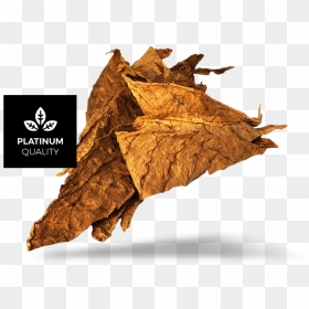 Tobacco Leaf Png, Transparent Png - tobacco leaf png
