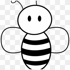 Honey Bee Pictures Clip Art Free Bee Clipart Free Clipart - Cartoon Bees Drawing Easy, HD Png Download - queen bee png