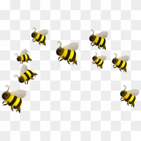 #freetoedit - Honey Bee Emoji Png, Transparent Png - bee emoji png