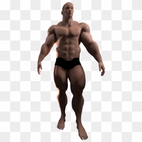Bodybuilding, HD Png Download - muscles png